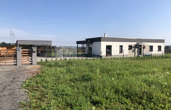 image1 1